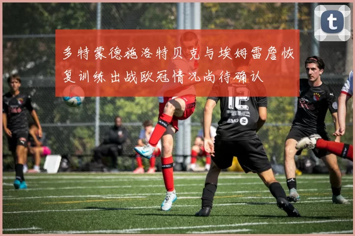 多特蒙德施洛特贝克与埃姆雷詹恢复训练出战欧冠情况尚待确认