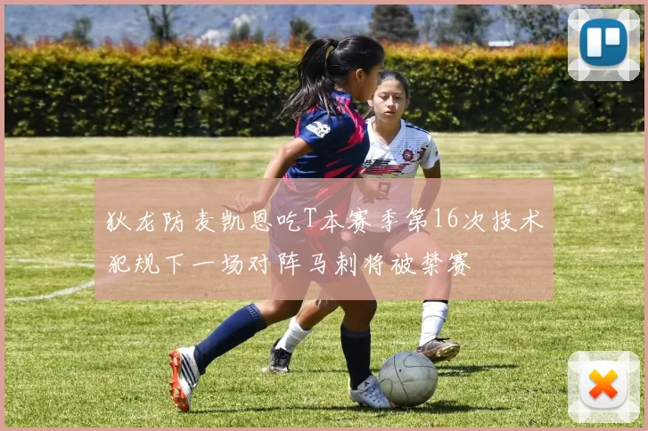 狄龙防麦凯恩吃T本赛季第16次技术犯规下一场对阵马刺将被禁赛